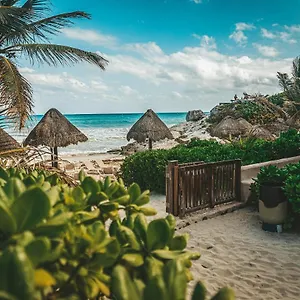 https://hotel-calaluna-tulum.tulum-hotels.net