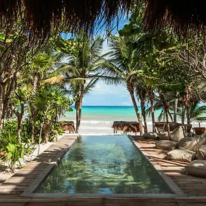 https://xela.tulum-hotels.net