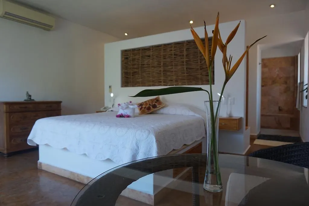 Hacienda Alemana Hotel Boutique Puerto Vallarta 4*,  Mexico