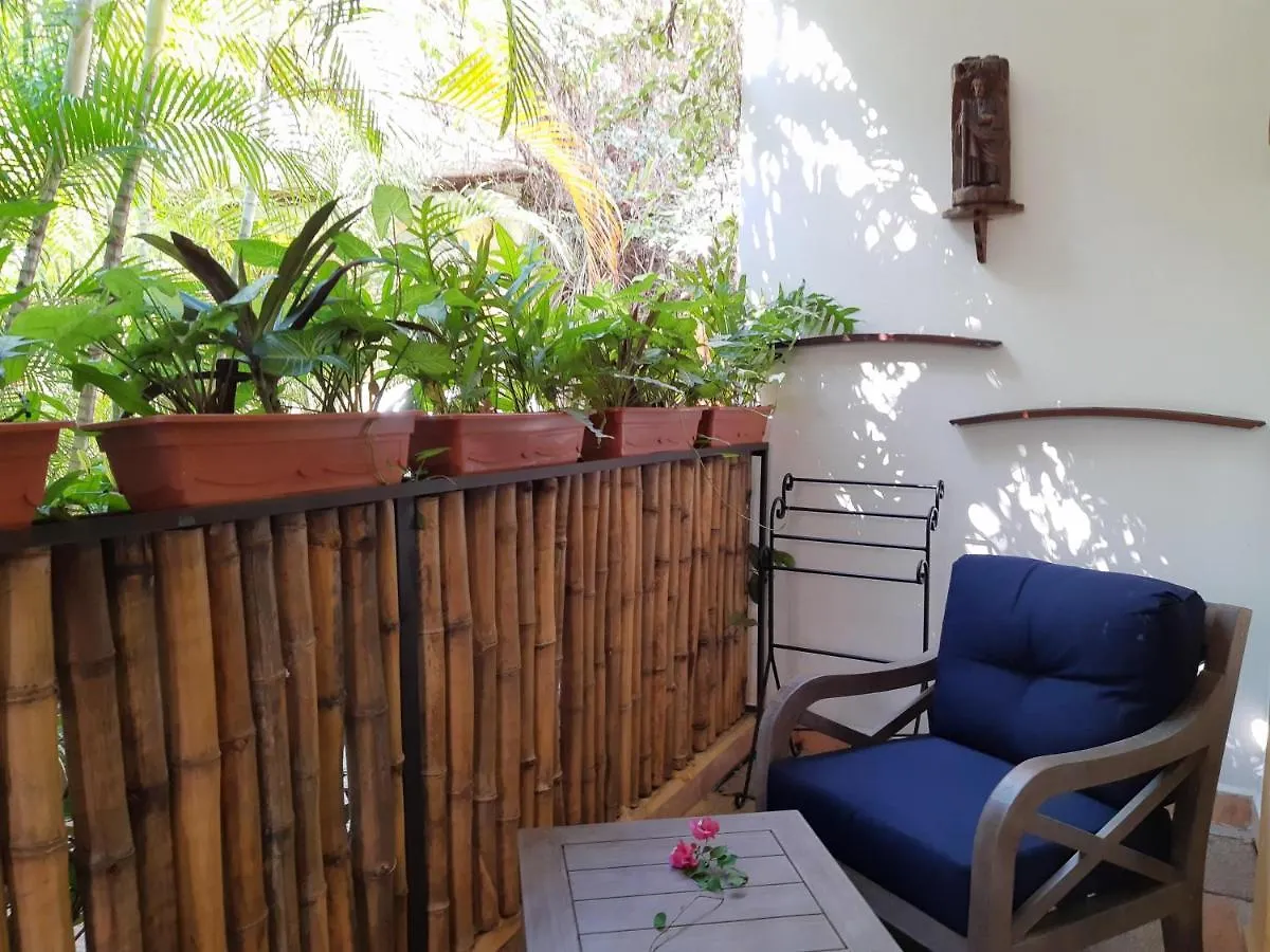 Hacienda Alemana Hotel Boutique Puerto Vallarta Mexico
